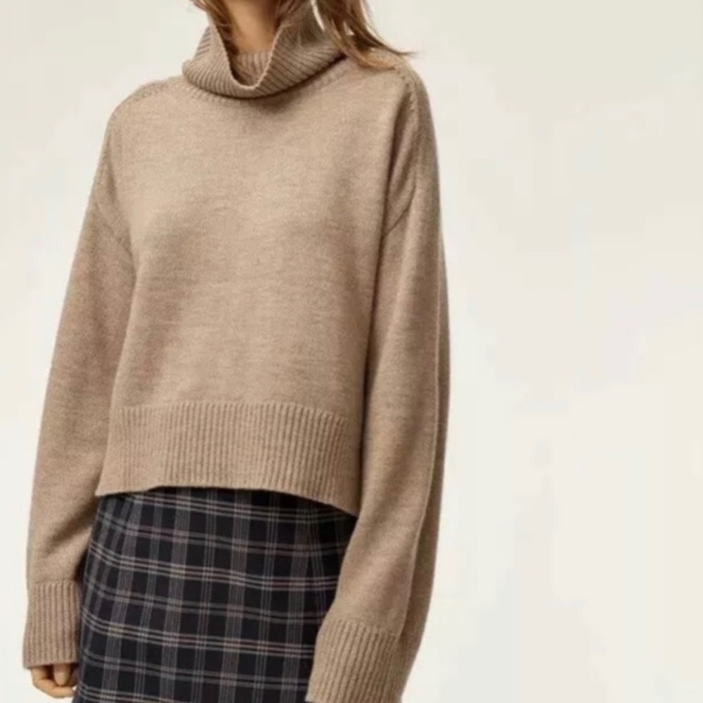 Aritzia Babaton Titus wool turtleneck sweater S